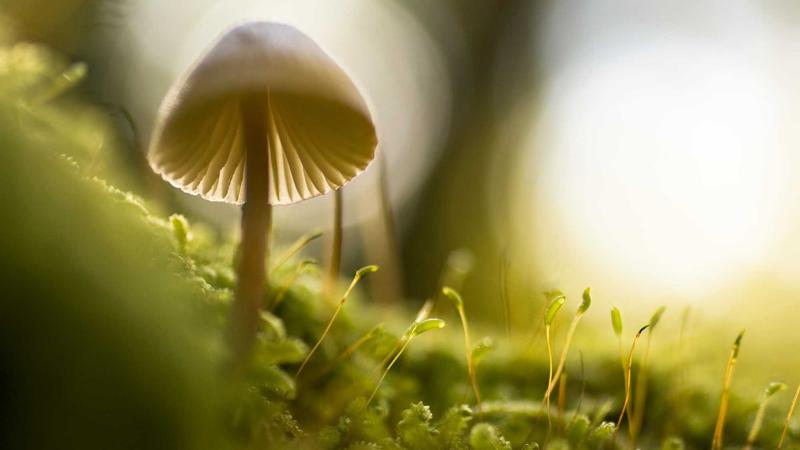 读者阅读节奏与更新时间分布